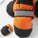 Botas para Mascotas – ¡Protege a tu mejor amigo sin importar la época del año!