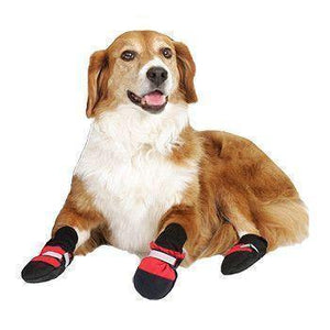 Botas para Mascotas – ¡Protege a tu mejor amigo sin importar la época del año!