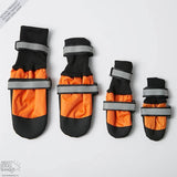 Botas para Mascotas – ¡Protege a tu mejor amigo sin importar la época del año!