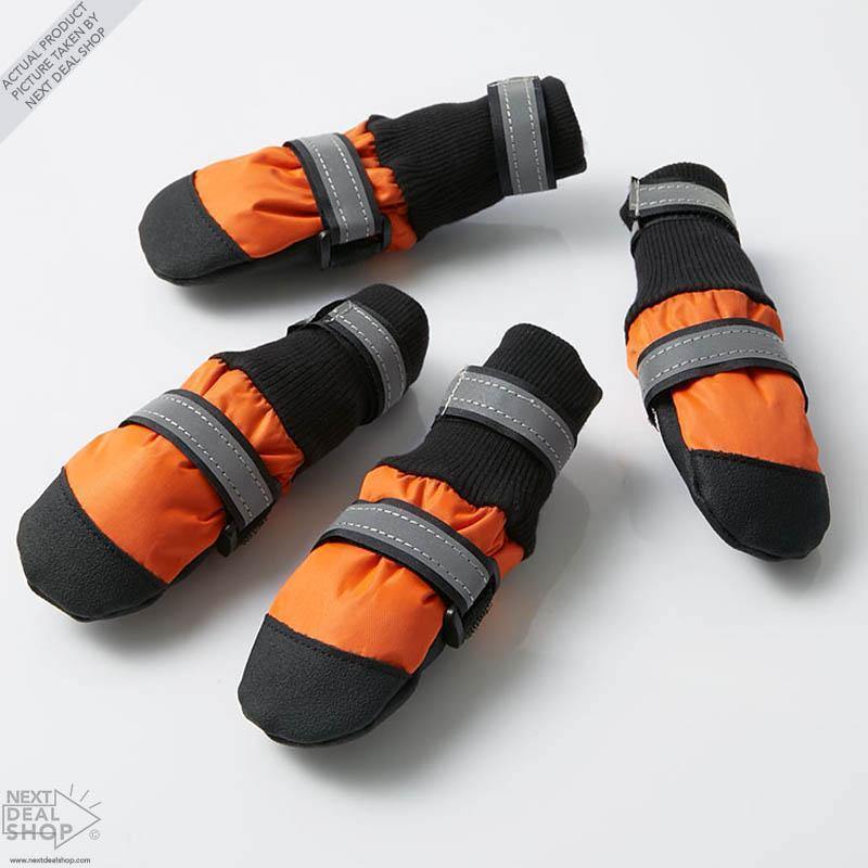 Botas para Mascotas – ¡Protege a tu mejor amigo sin importar la época del año!